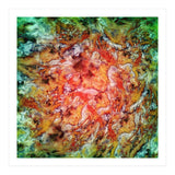 The Beautiful Evidence (Print Only) thumbnail