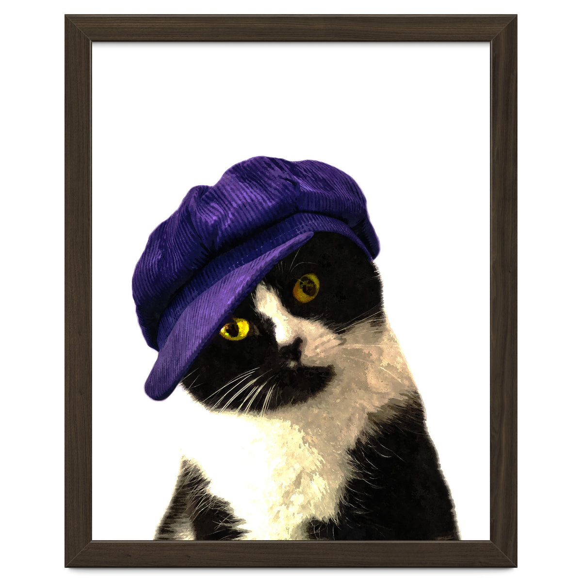 Cat Blue Hat
