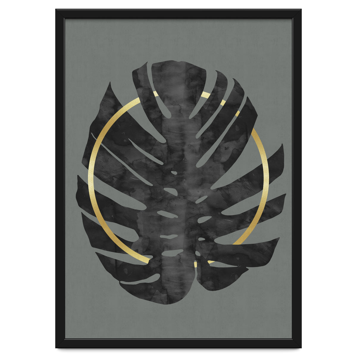 Monstera Deliciosa I