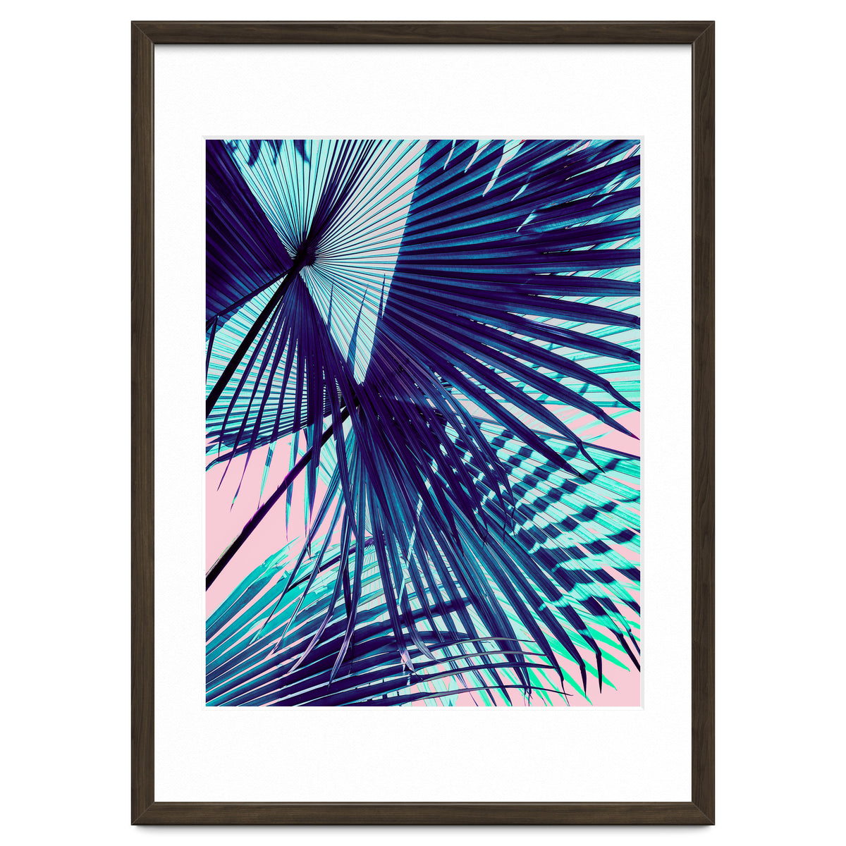 Palm leaf on the beach