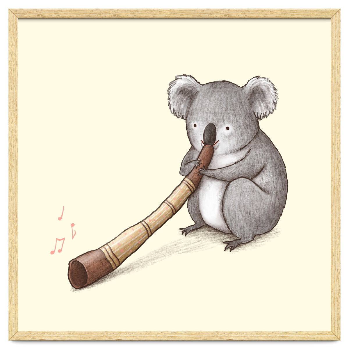 Koala Playing a Didgeridoo