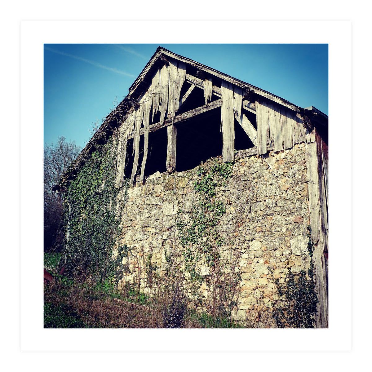 14 Fb156 B 6832 4 Ef7 9846 7817 Eea32976 (Print Only)