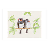 Sweet couple of zebra finches (Print Only) thumbnail