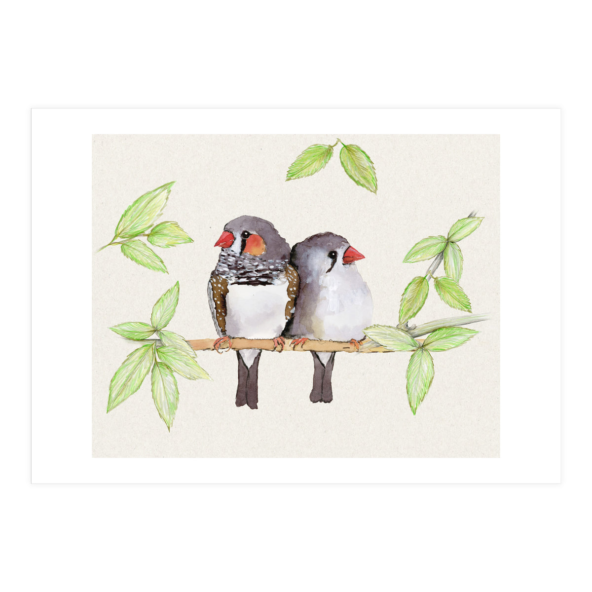 Sweet couple of zebra finches (Print Only)