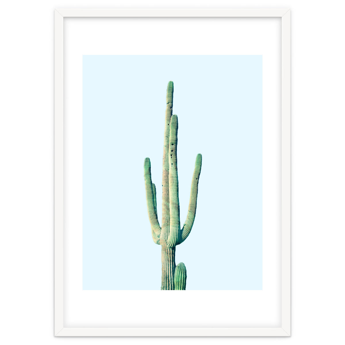 Loner Cactus