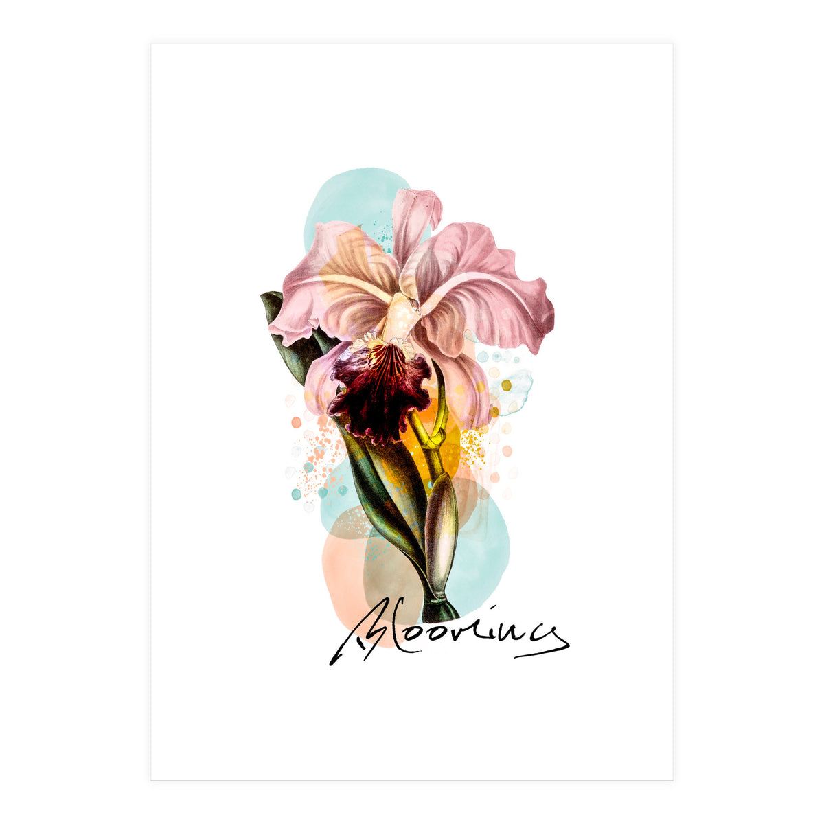 Blooming (Print Only)
