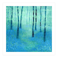 Bluebells, Challock (Print Only)