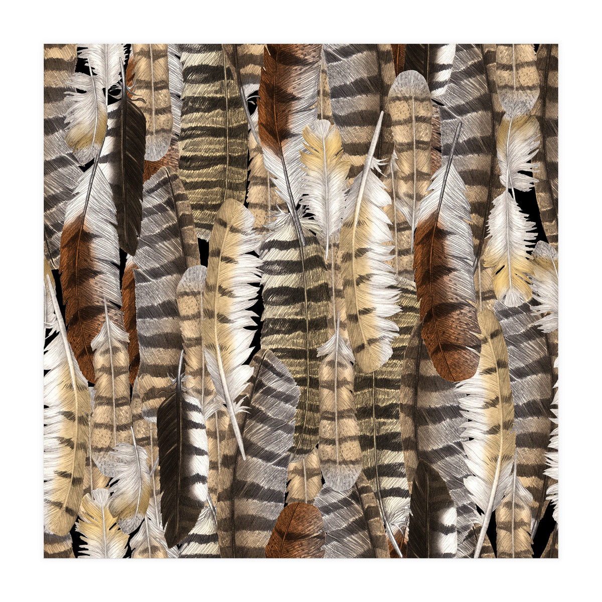 Owl Feathers (Print Only)