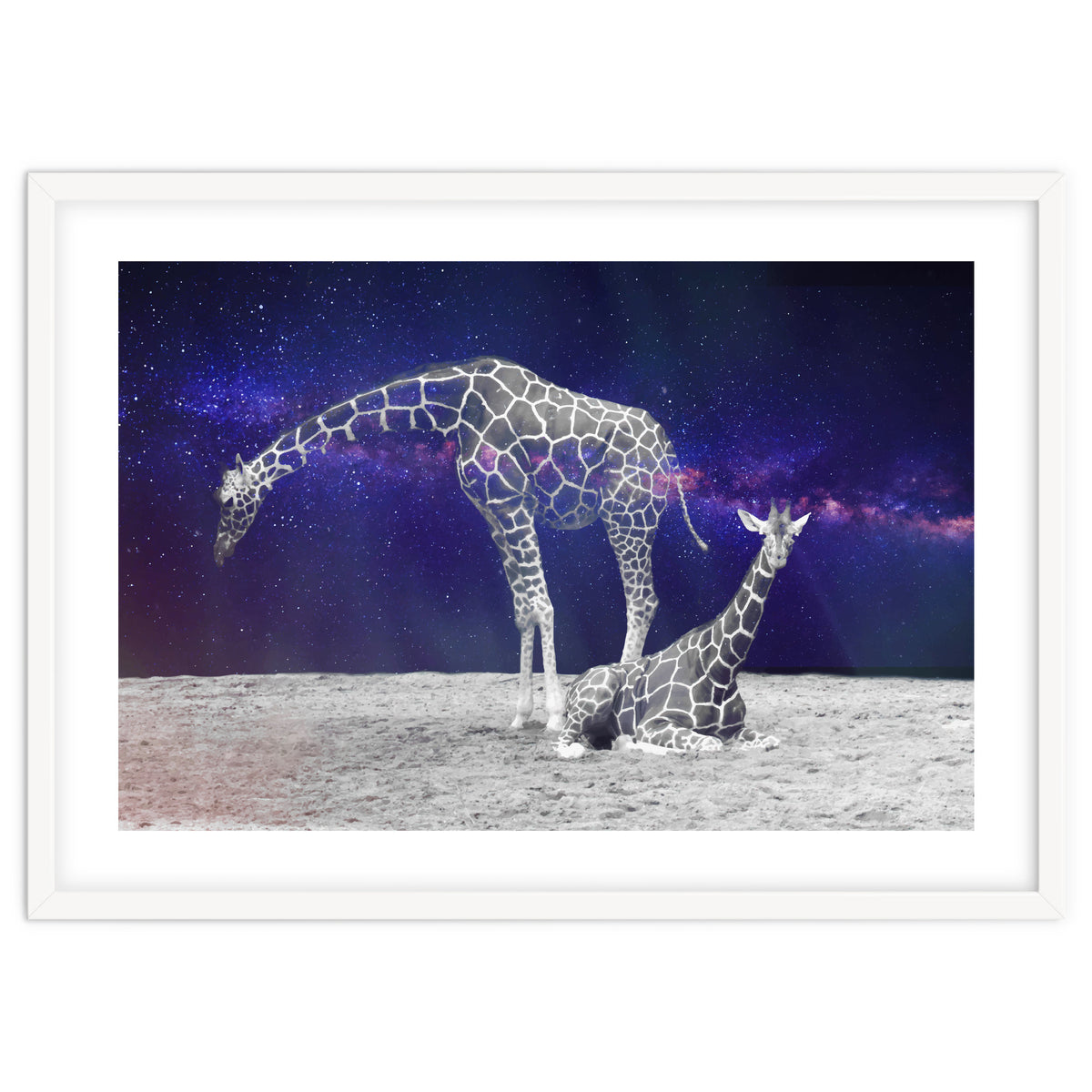 Giraffes on The Moon