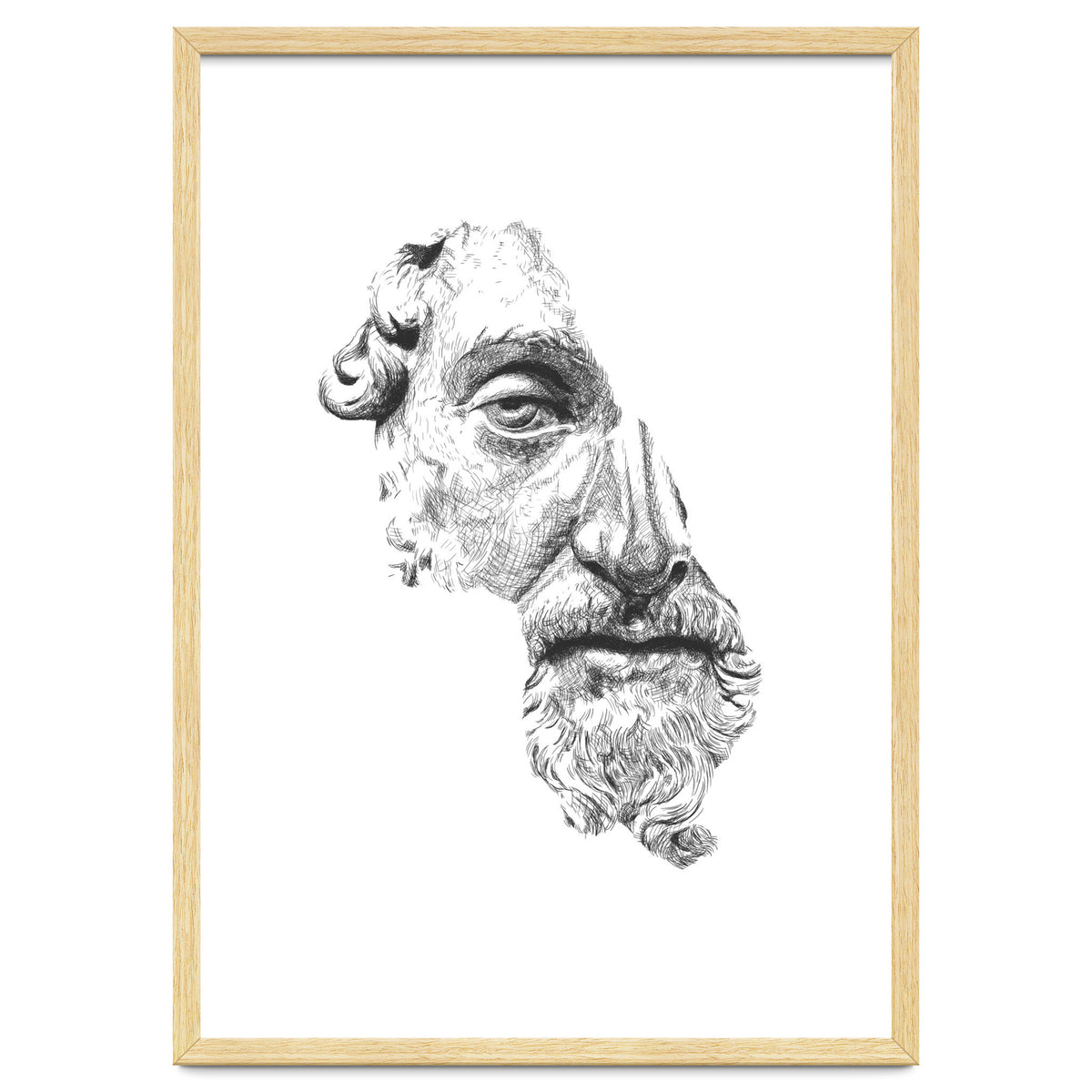 MARCUS AURELIUS ANTONINUS AUGUSTUS / black and white