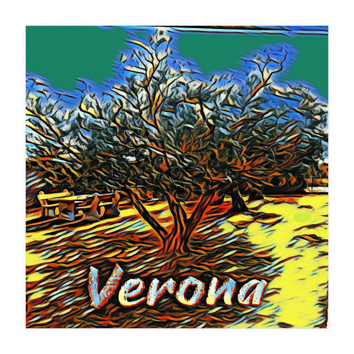 Colorful Olive tree in Verona, Italy. (Print Only)
