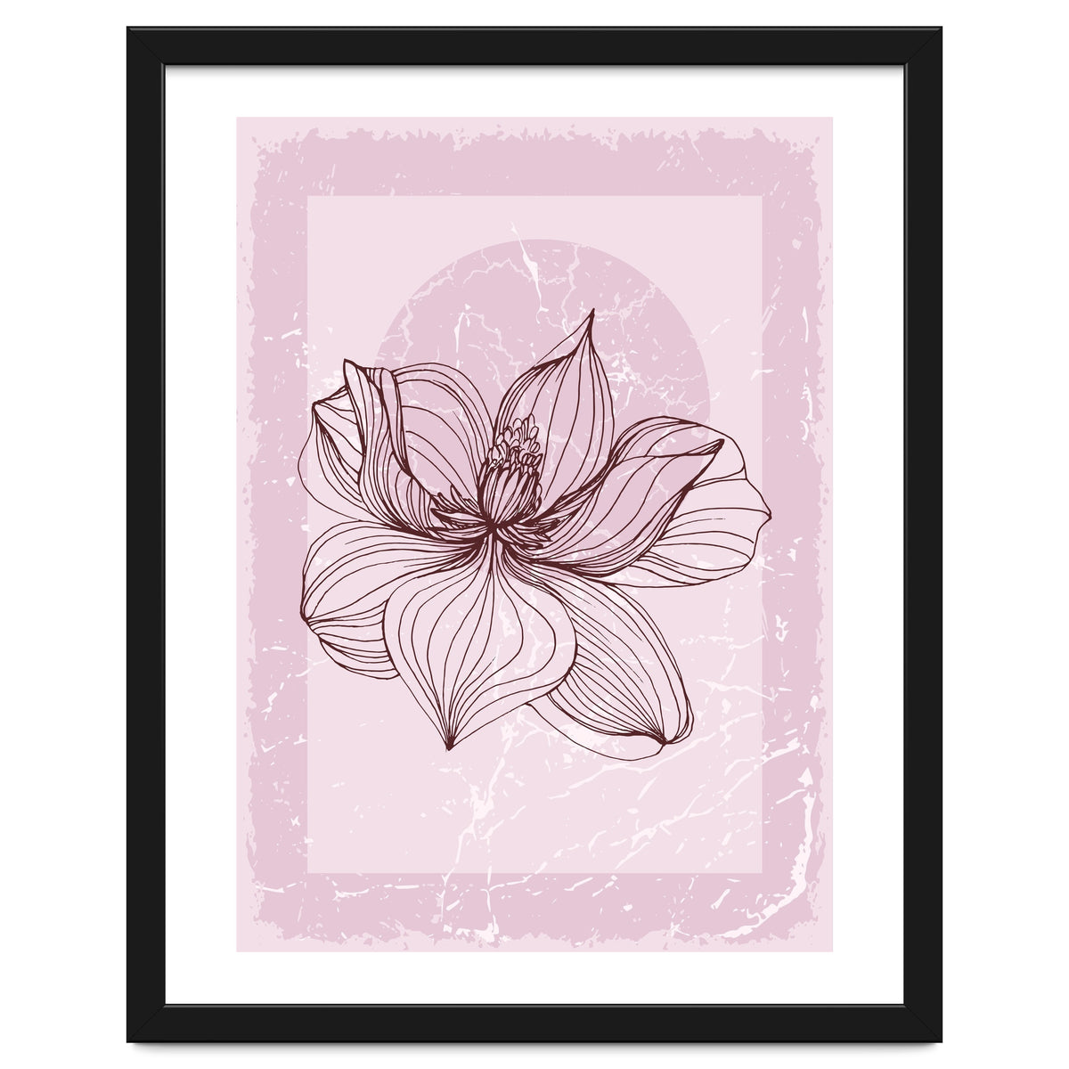 Modern Magnolia flower nature