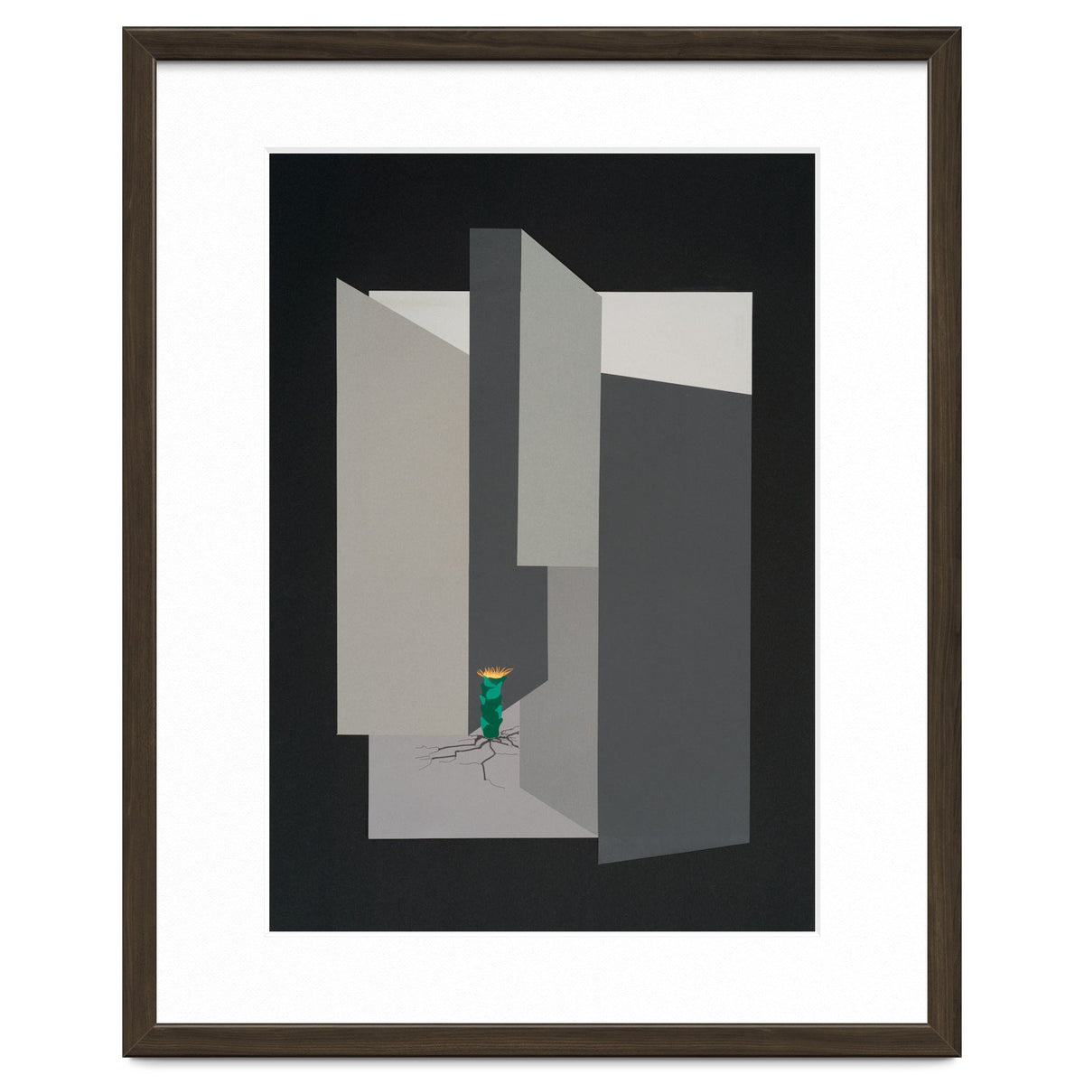 Small flower in concrete landscape.