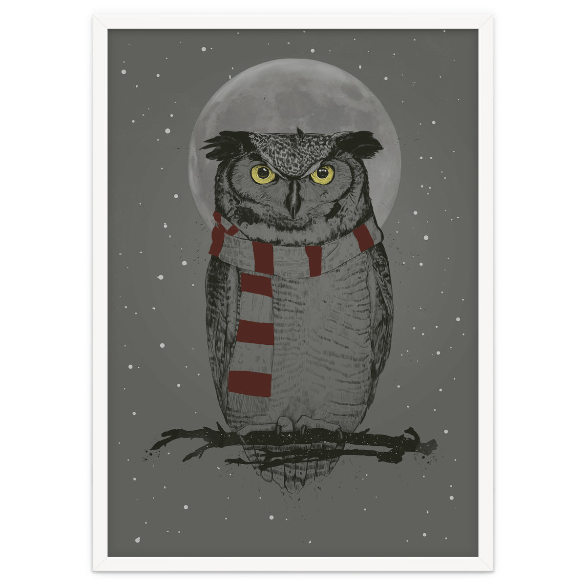 Winter Owl