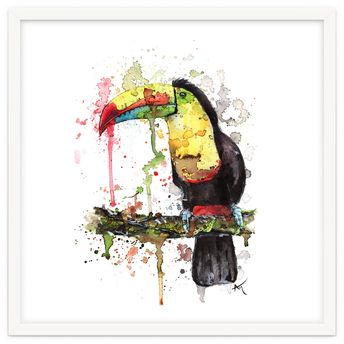 Toucan - Wildlife Collection
