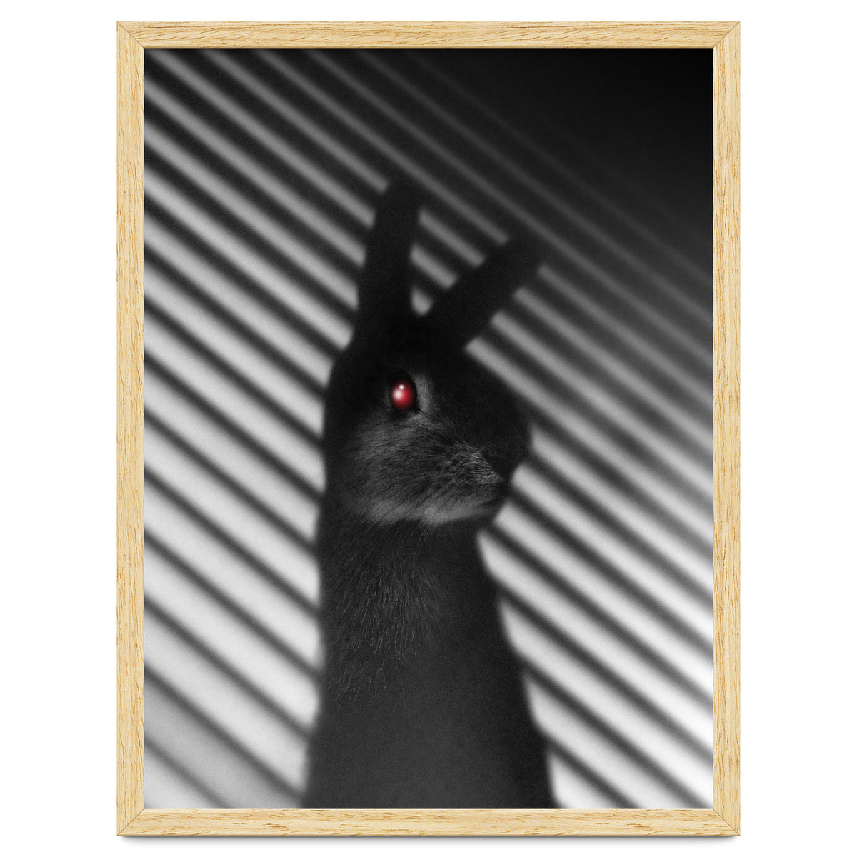 Shadow Bunny
