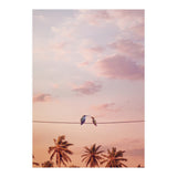 Hummingbirds In Love (Print Only) thumbnail