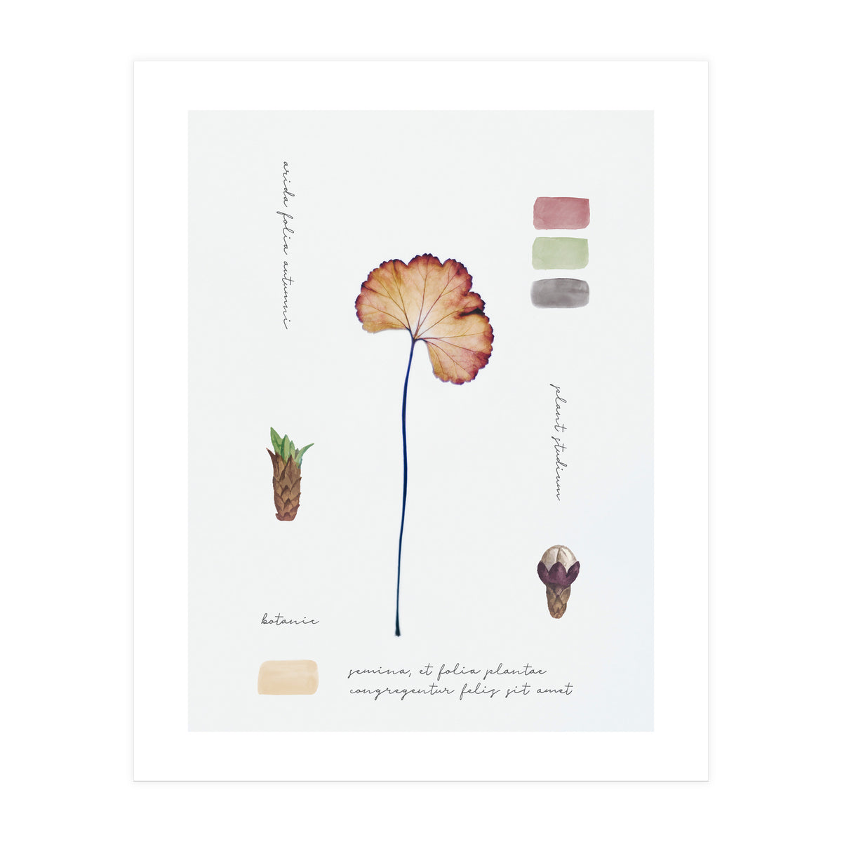 Botanical Notes (Print Only)