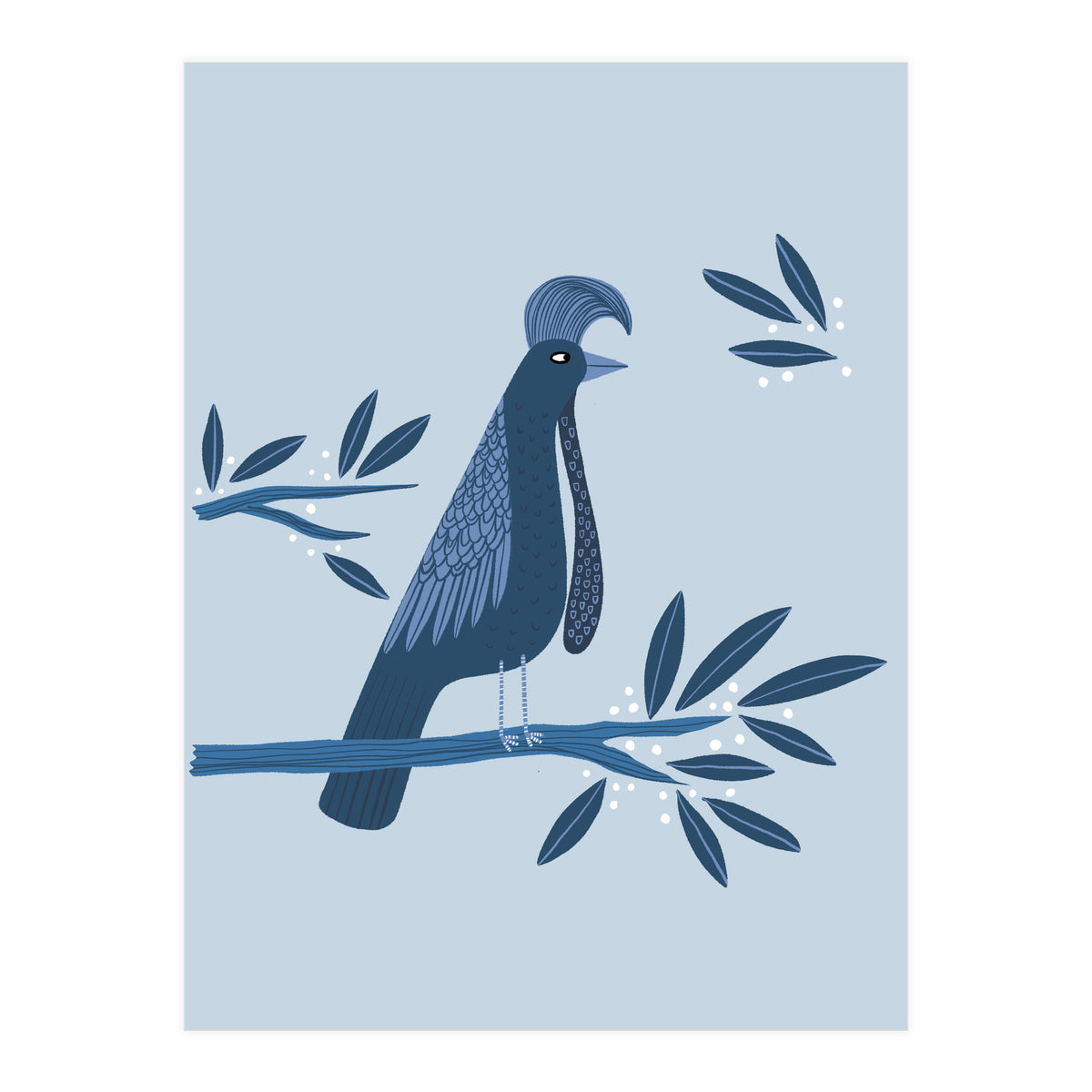 Umbrellabird (Print Only)