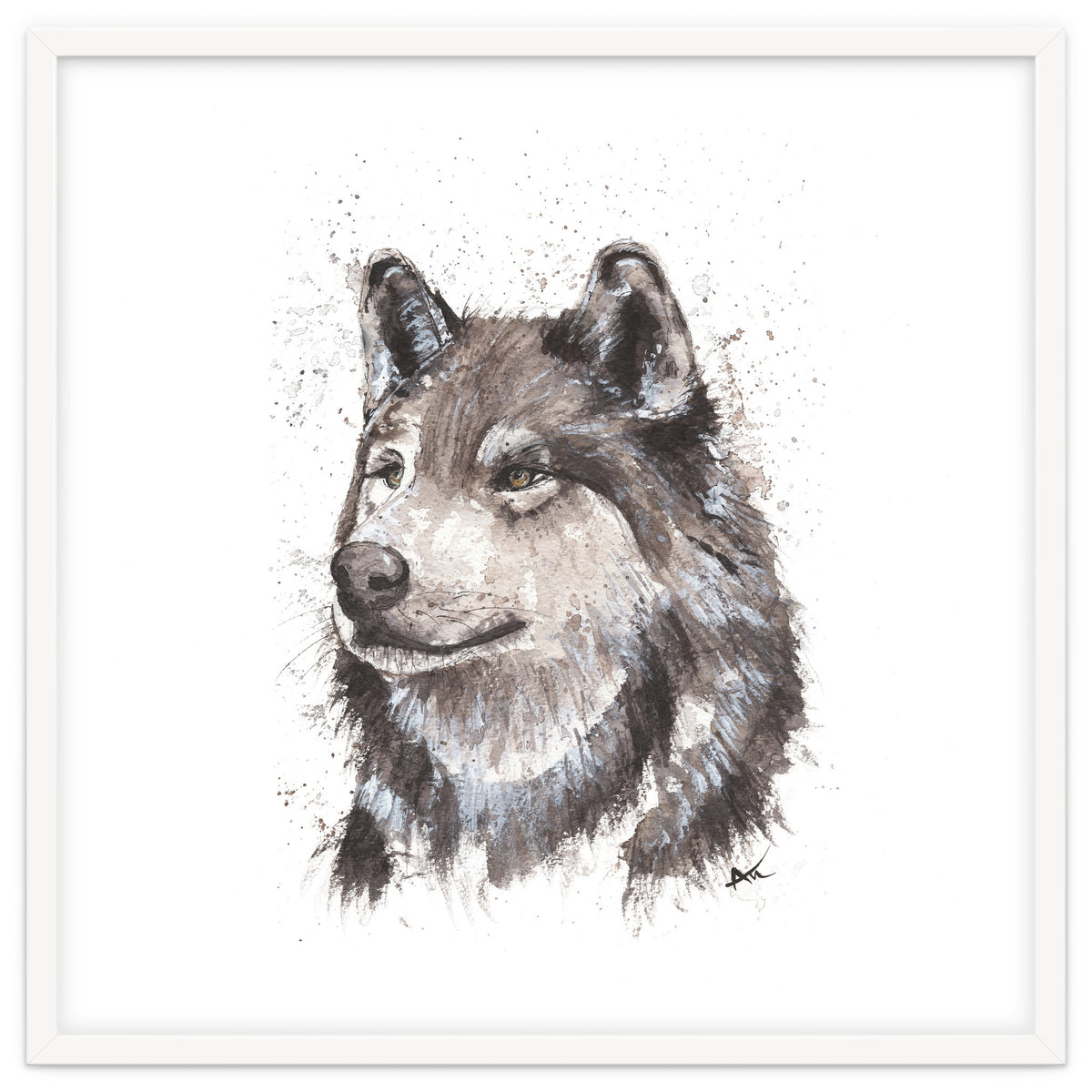 Wolf - Wildlife Collection