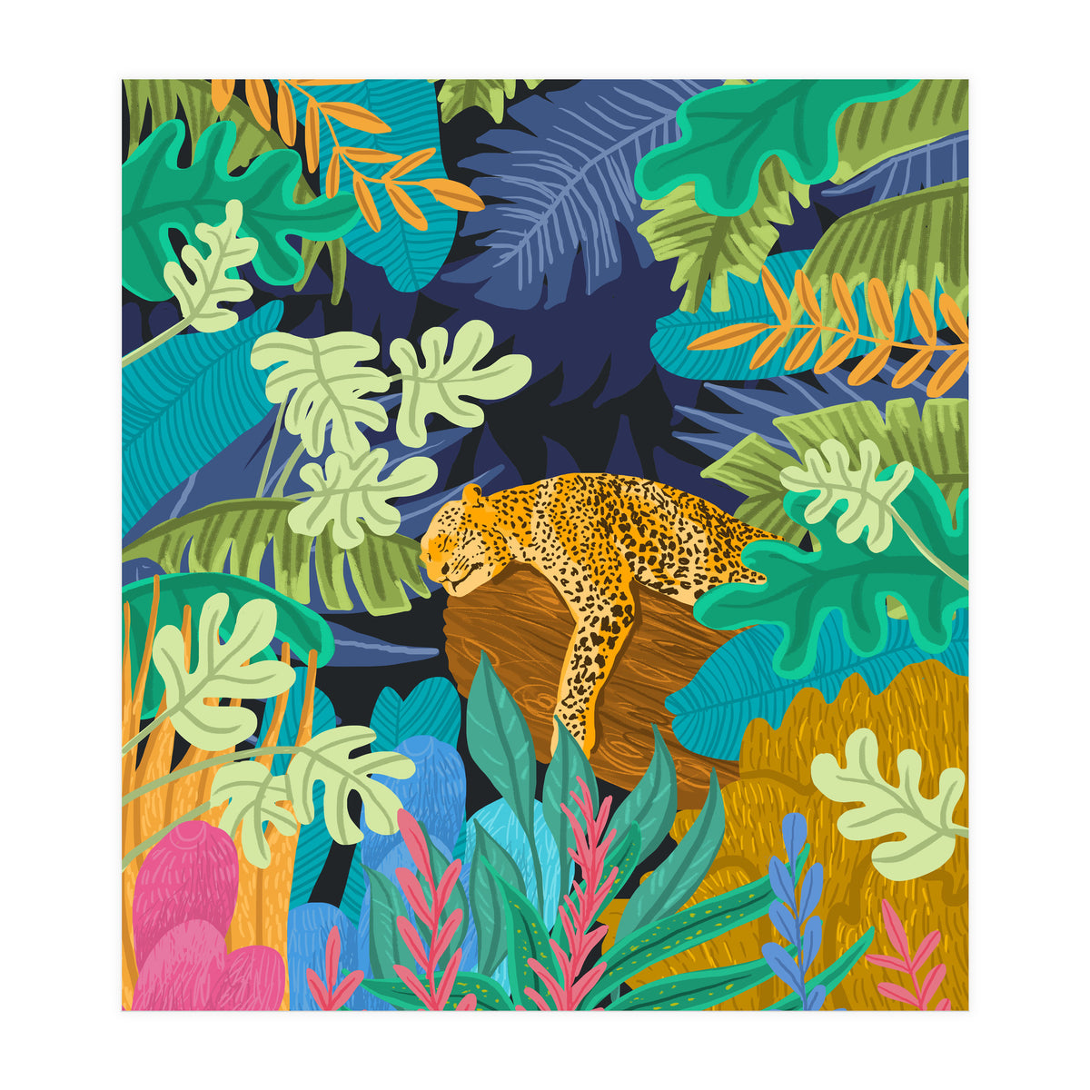 Sleeping Panther (Print Only)