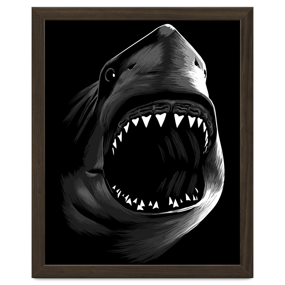 Megalodon