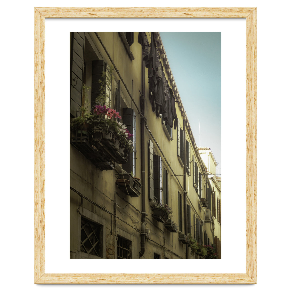 Windows From Tuscany 1