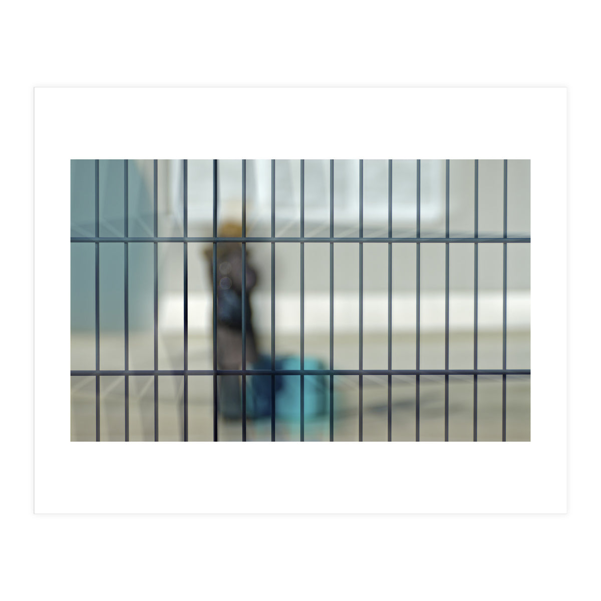 Behind a fence (Print Only)