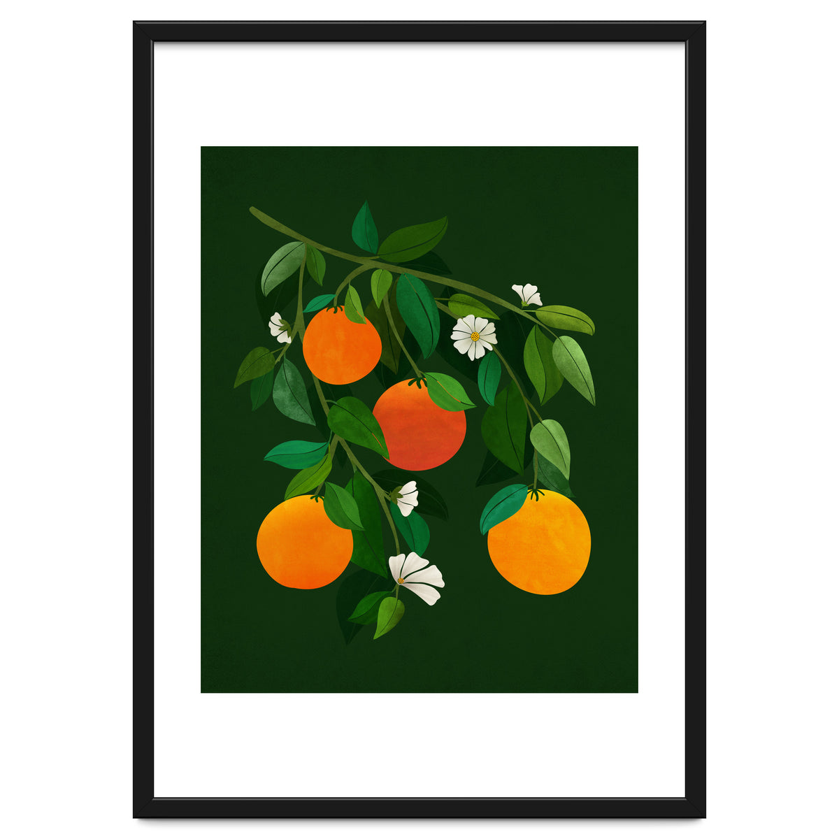 Oranges and Blossoms