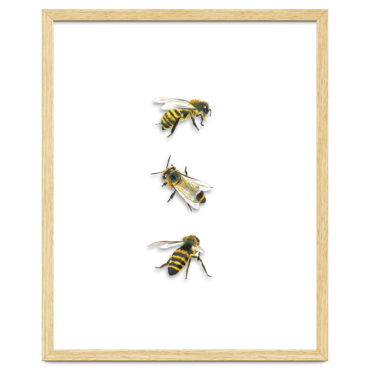 The 3 Bee's
