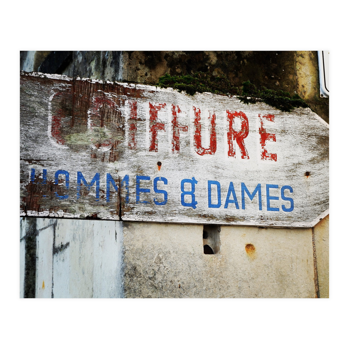 E3 F3226 F 3 Bdc 4379 8 C4 F Cbee394 B1236 (Print Only)