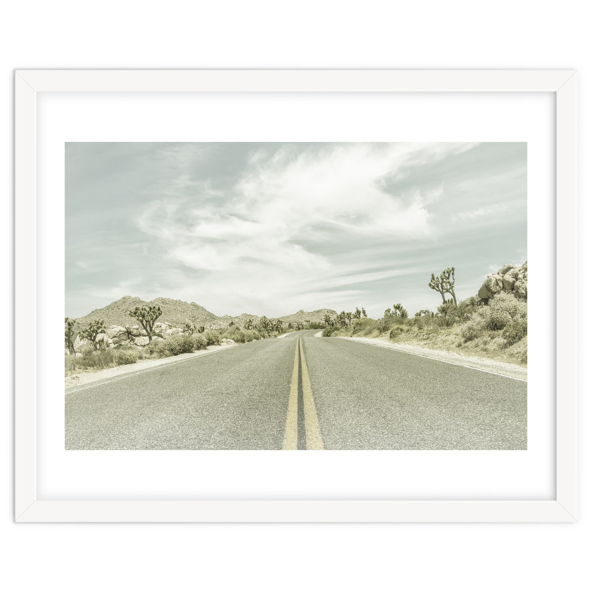 Joshua Trees, Park Boulevard | Vintage