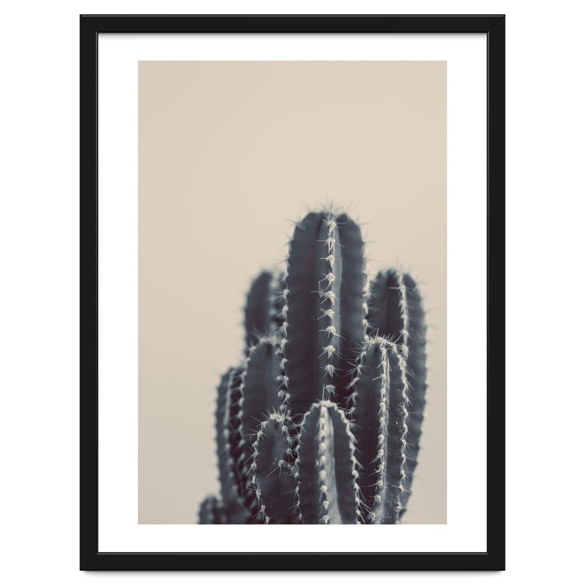 Vintage Cactus #1