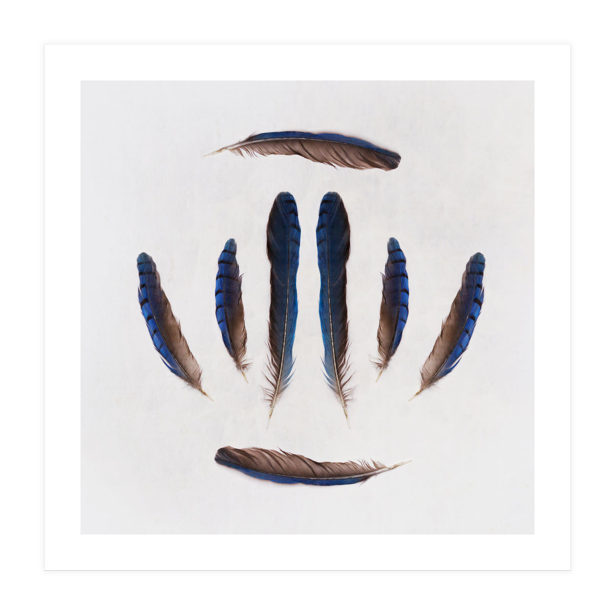 Forgive Me For Forgetting (Print Only)