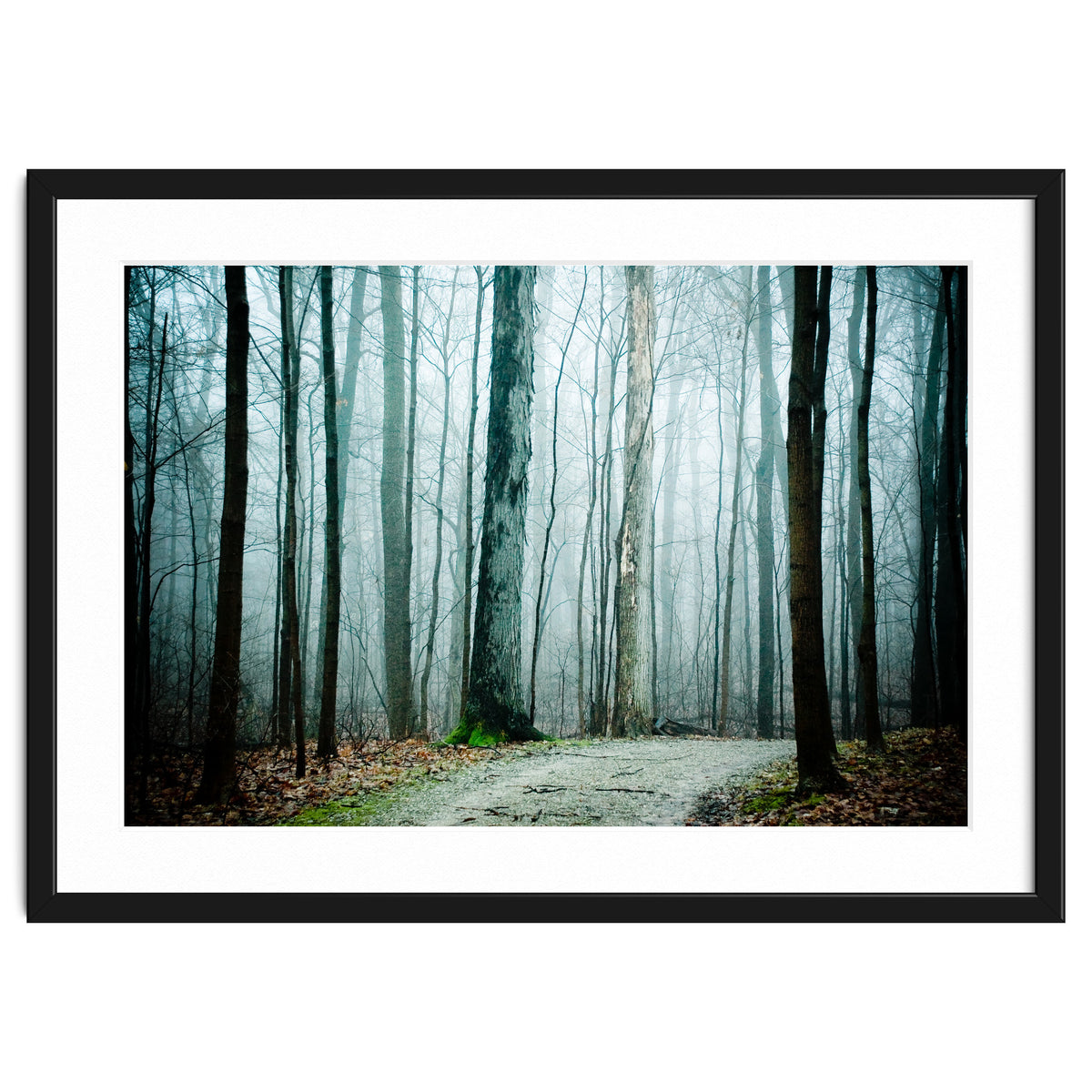 Gather Up Your Dreams