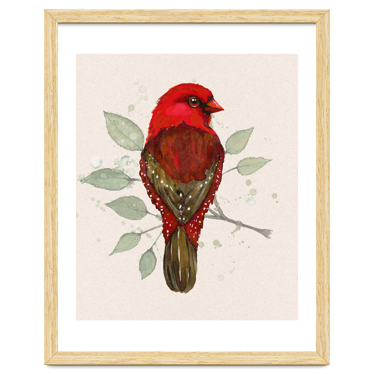 Red avadavat watercolor