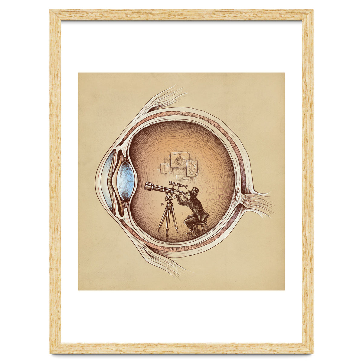 Extraordinary Observer