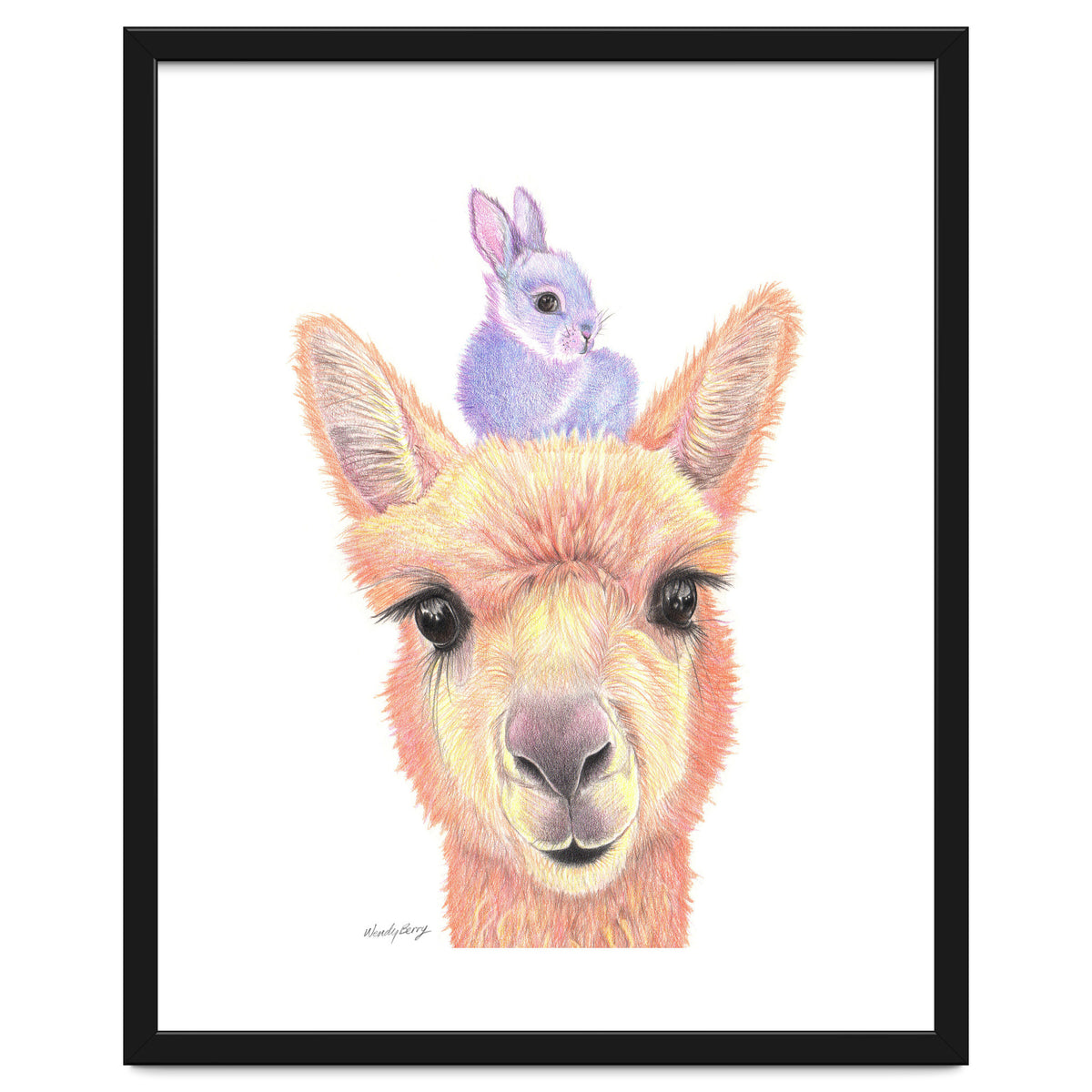 Alpaca and Bunny