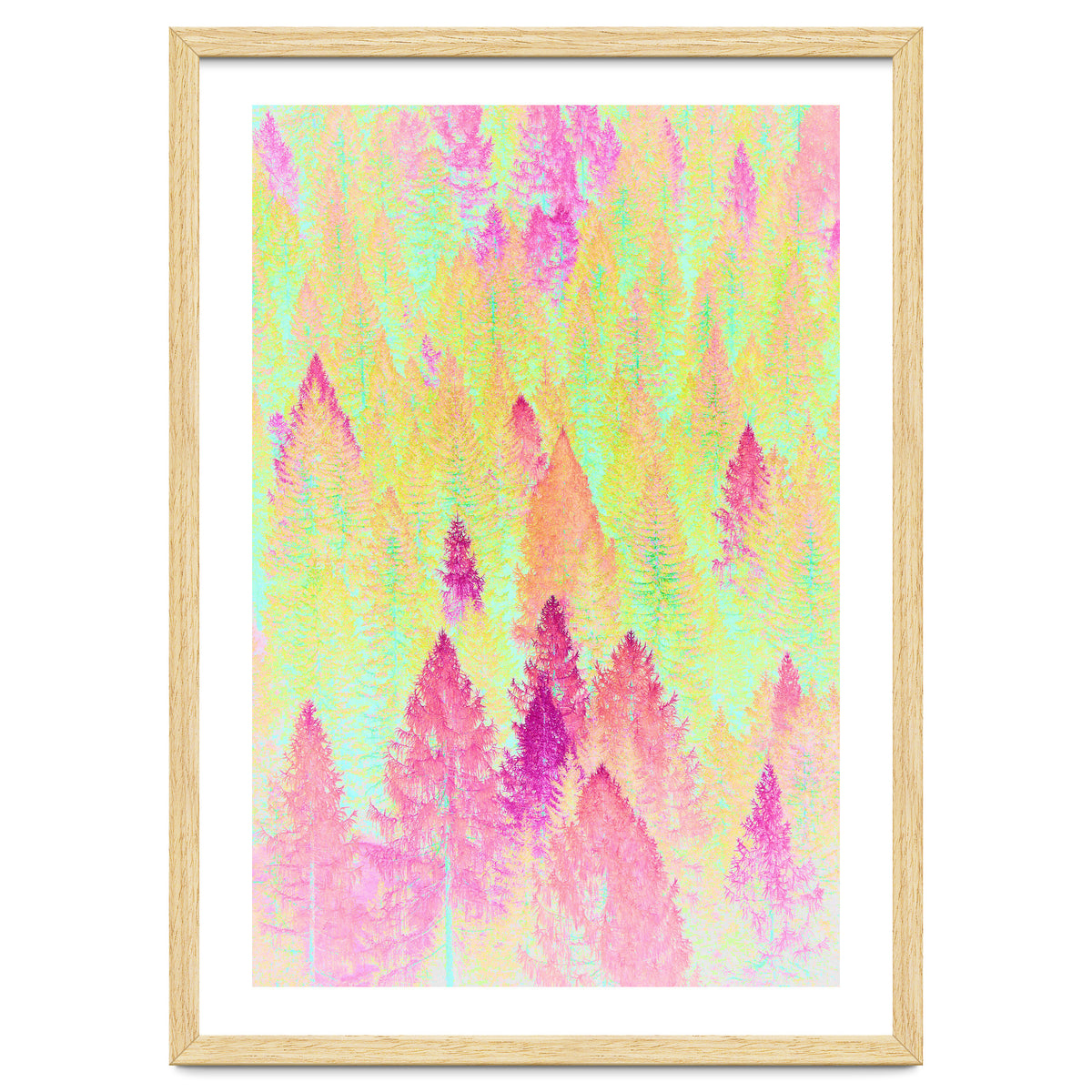 Painted Forest