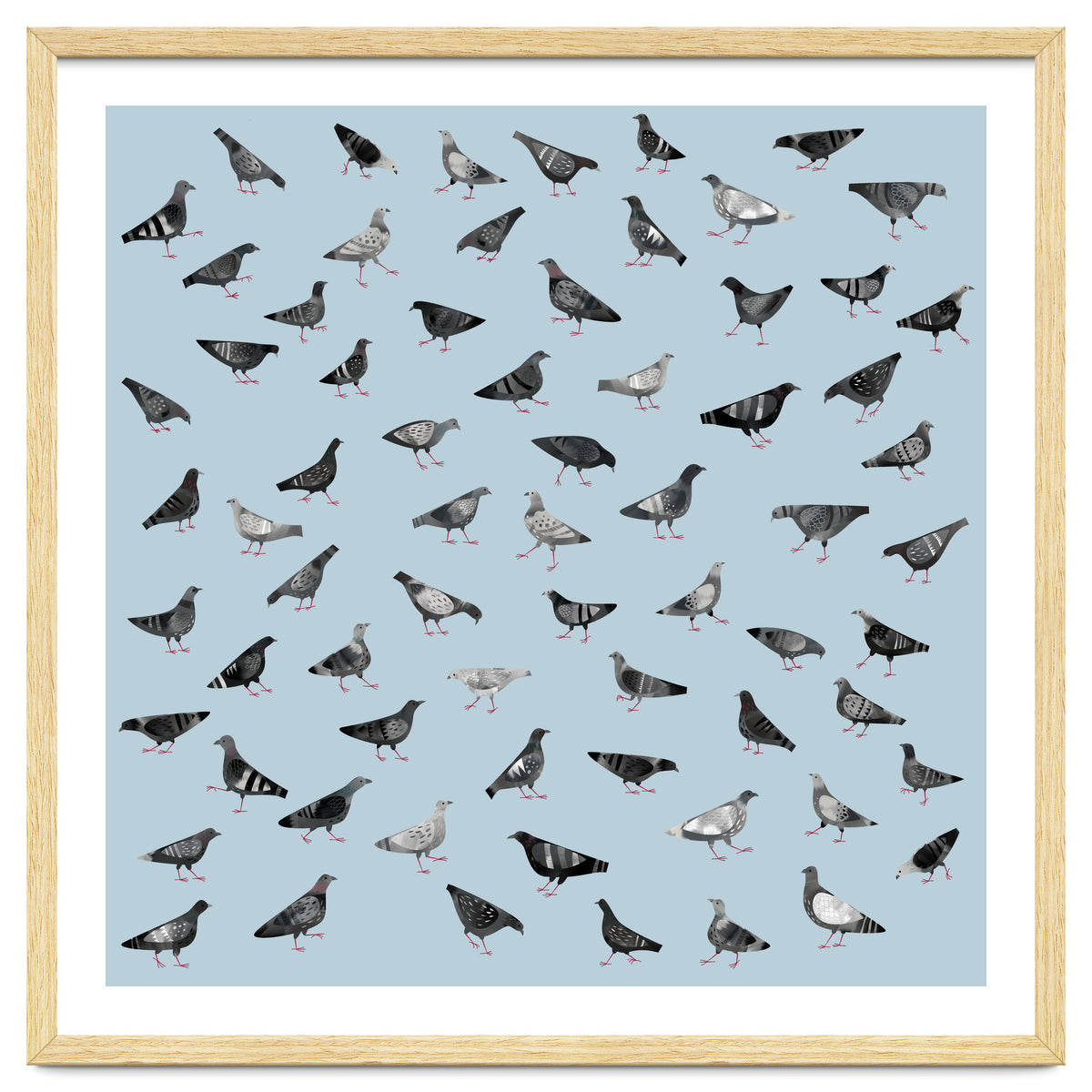 Pigeons Doing Pigeon Things