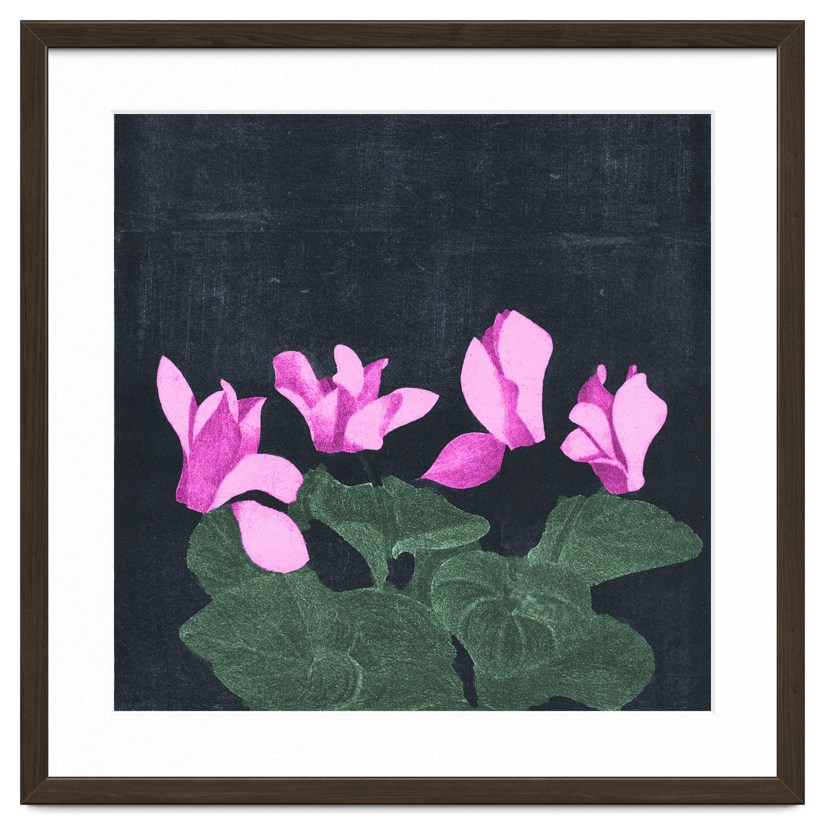Cyclamen