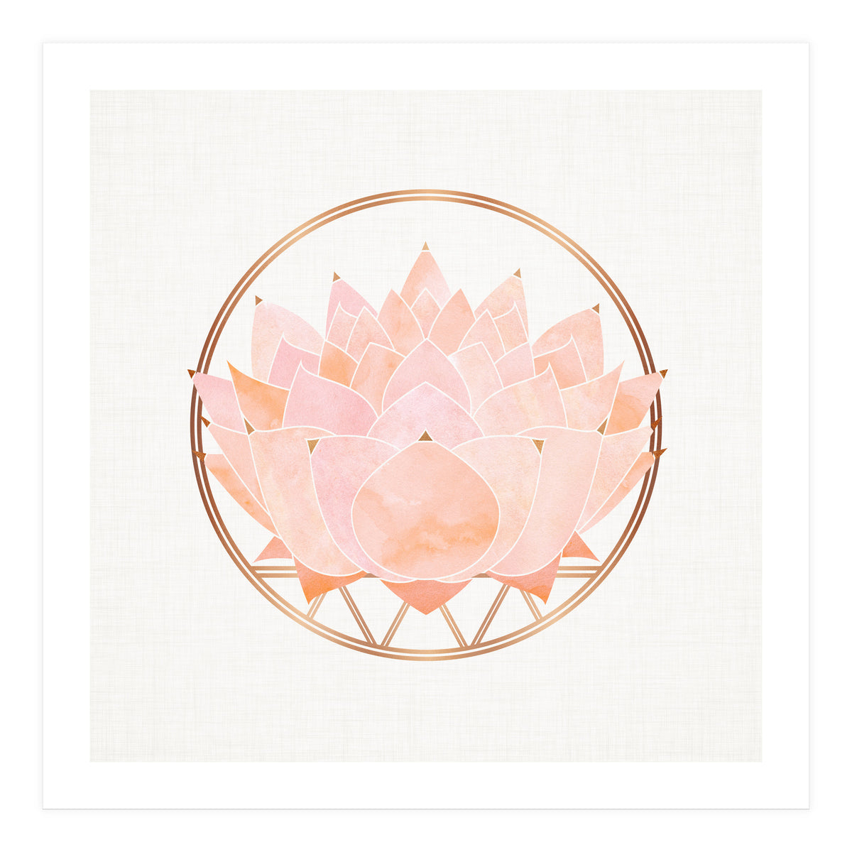 Peach Succulent  Blossom (Print Only)