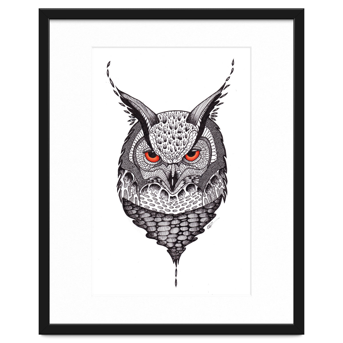 Owl