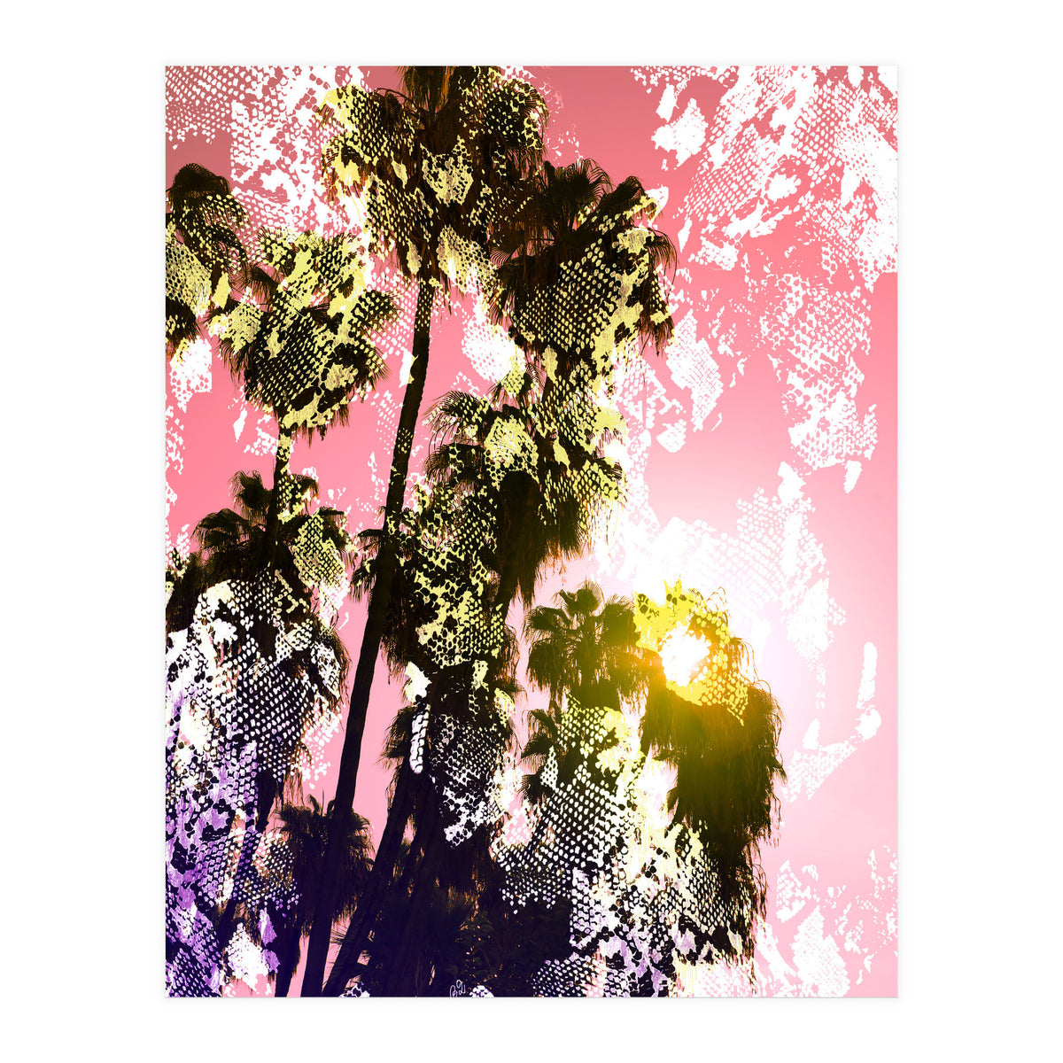 Snake sunset in paradise  (Print Only)