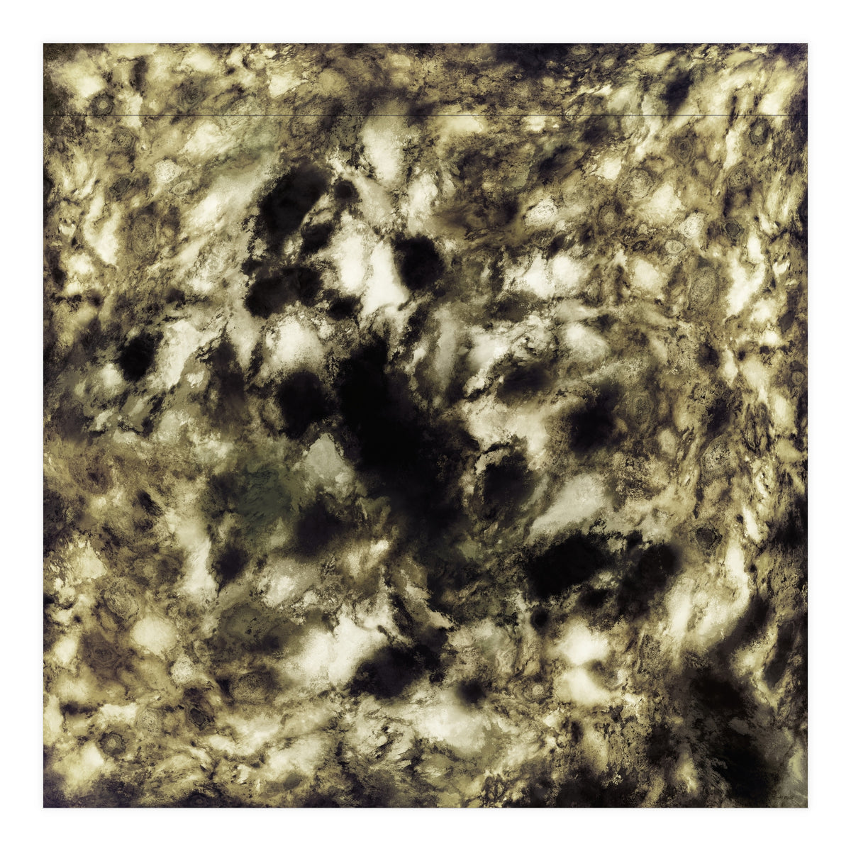 Suspend A Moment (Print Only)