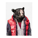 Black Bear (Print Only) thumbnail