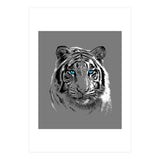 Sketch Tiger (Print Only) thumbnail