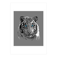 Sketch Tiger (Print Only)