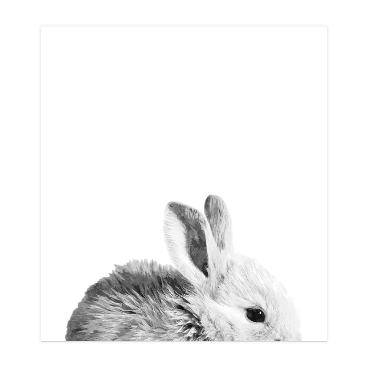 Black and White Bunny Portrait (Print Only)