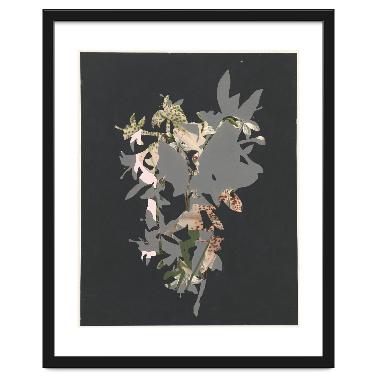 The First Plant · Black